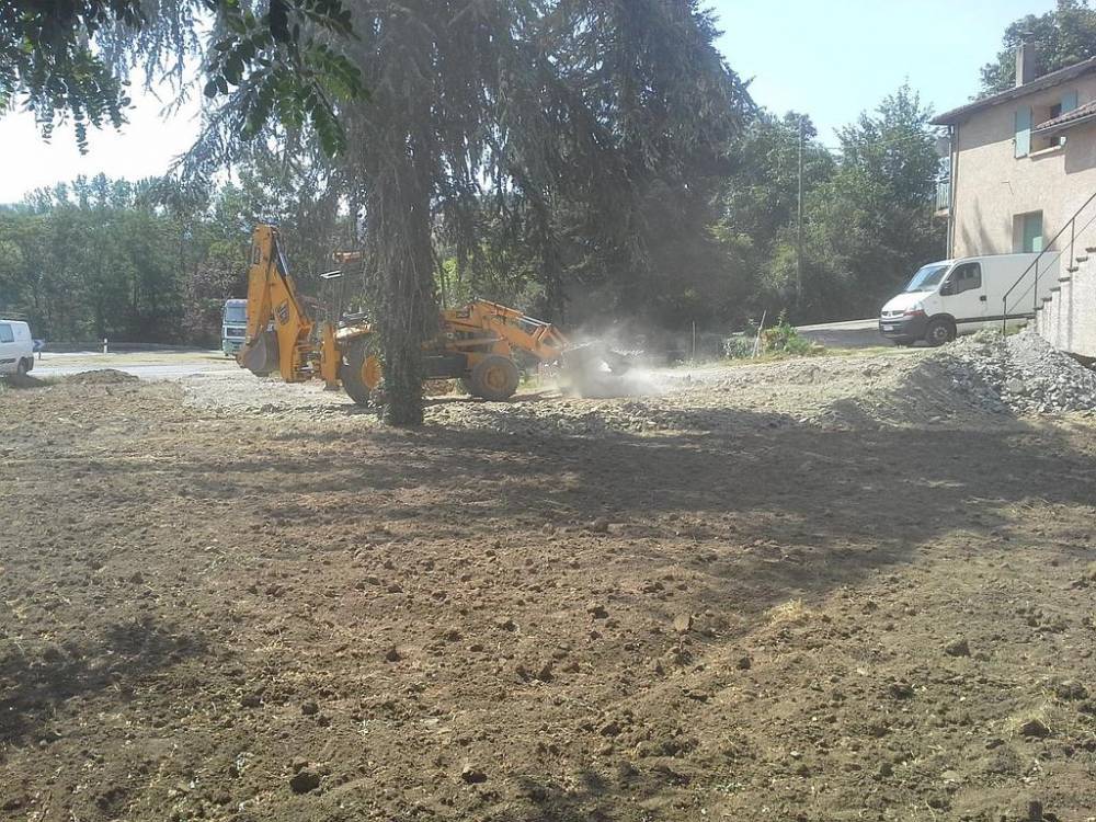 trans tp saint belois arbre terrain